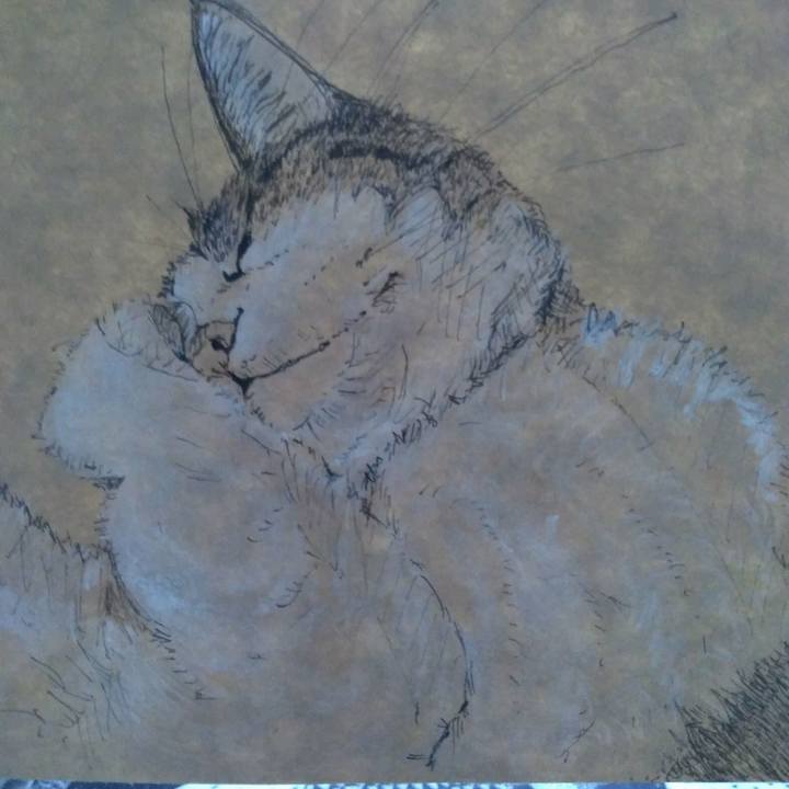 0b10bd7b 9382 4978 9fbe 1d020cd17ad7 1528012034813