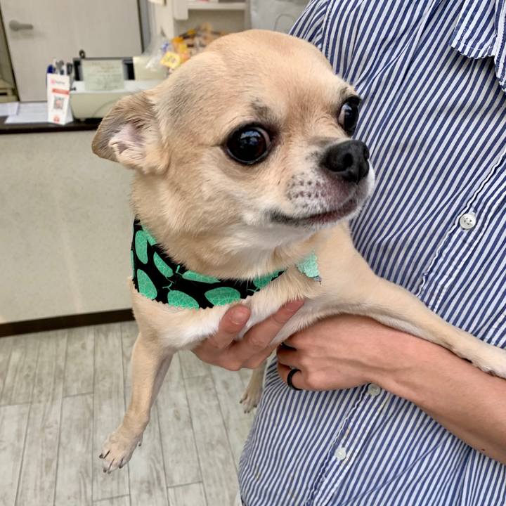 0b10d5f3 5376 429d 9fef efec4a9872fa 1596357727849