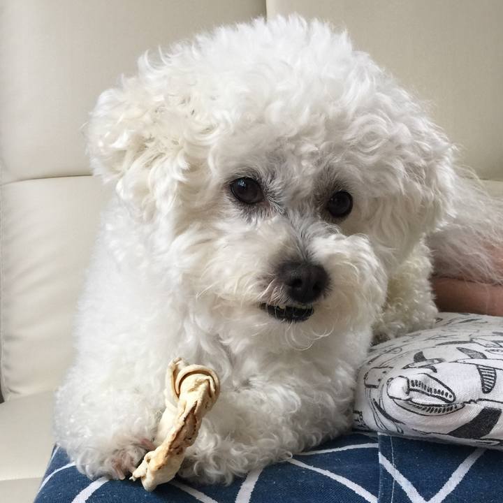 0b10e223 b0e3 43af 9297 5cf683d5bba3 1528758733825