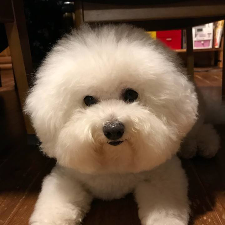 0b113d94 7b00 4664 ba13 d3556cff96ea 1529242594245