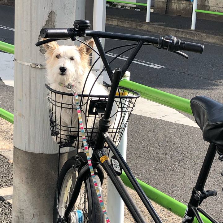 0b1144f7 8748 4cfa 958c 94b37d4a951b 1647723816413