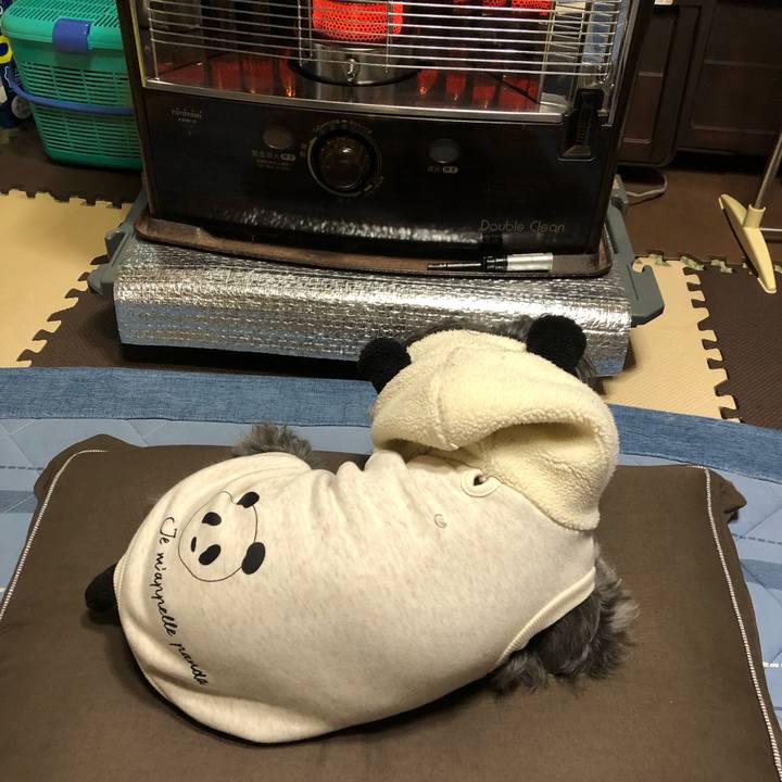 0b118bc8 70b6 4d5a 9240 1e651c7a24c6 1703165373368