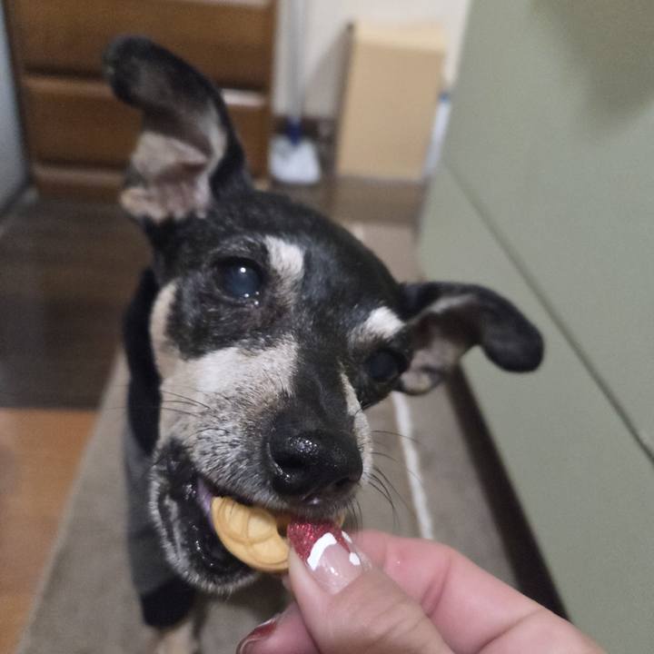 0b119d70 373b 48ad 94ba a3c0a7d48308 1764705006380