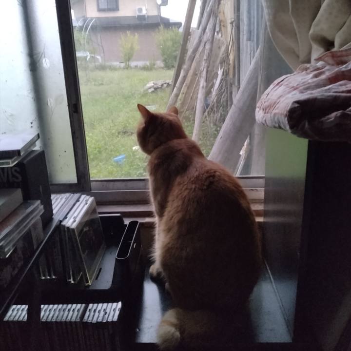 0b11b6f0 f6ea 4c63 ab53 c60b1fa0badf 1695765570907