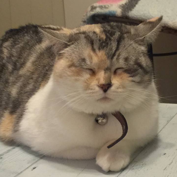 0b11ea37 9e93 4094 b778 19098f0c1855 1557759148620