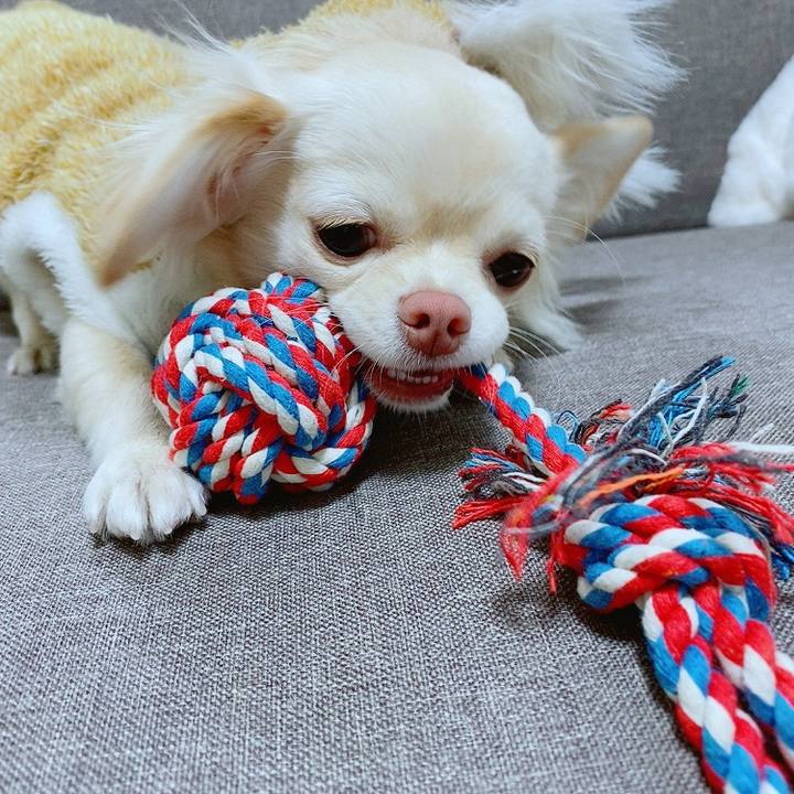 0b11f1b5 9dc2 42a1 ac11 bd6d3c25cfe9 1609817767438