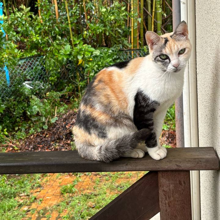 0b120cd4 ff42 42ed ba44 cdfe2af1325f 1724906949678