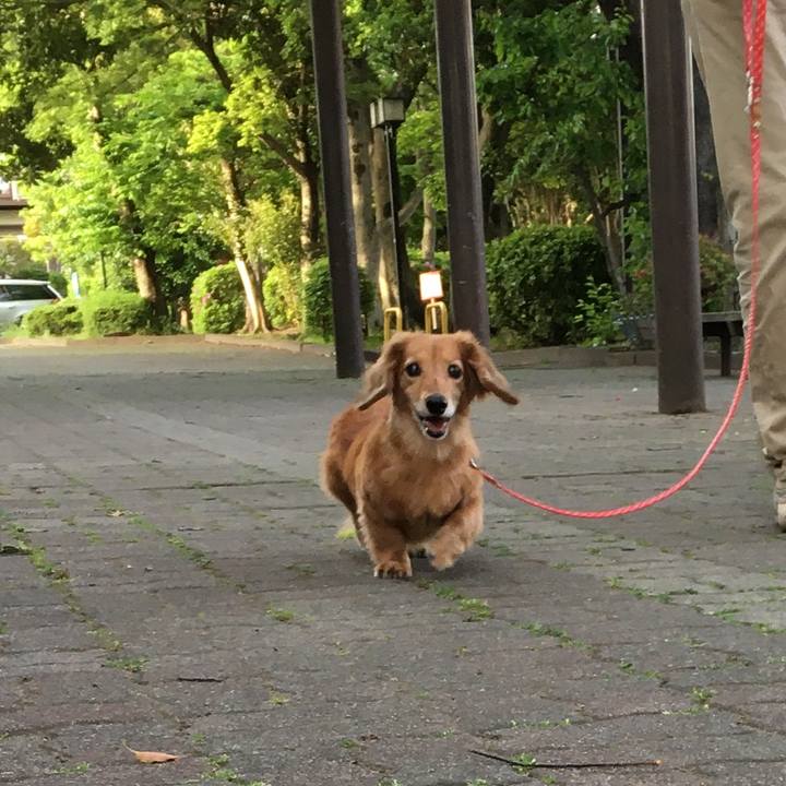 0b124cc0 44d8 4ebb bca8 810085ef2a26 1620134914024