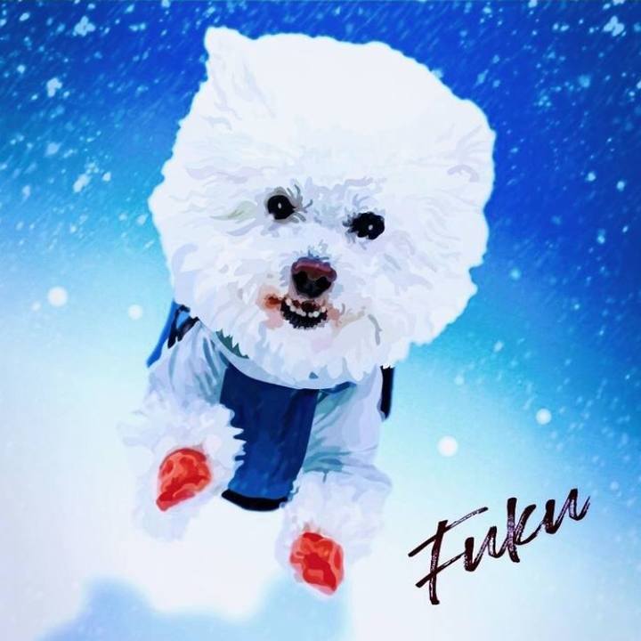 0b125e90 7194 48cb 9d5b 2fffb3629607 1642116092195