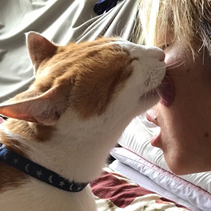 0b126b87 254c 457f b94f 82fdf40eeec6 1526883588437