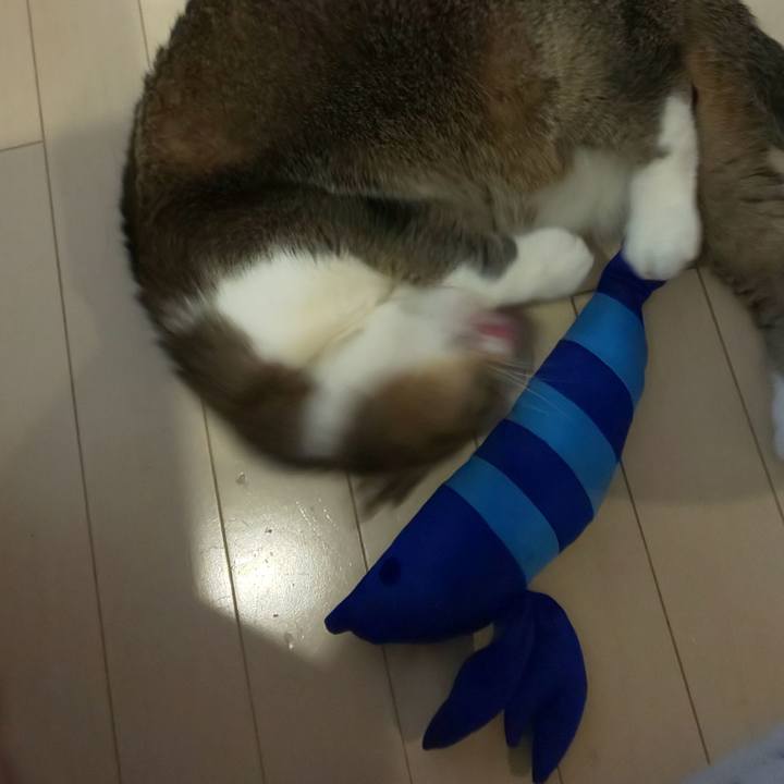 0b12973e f604 48c1 bf87 5bf6e3f5ead5 1680915053646