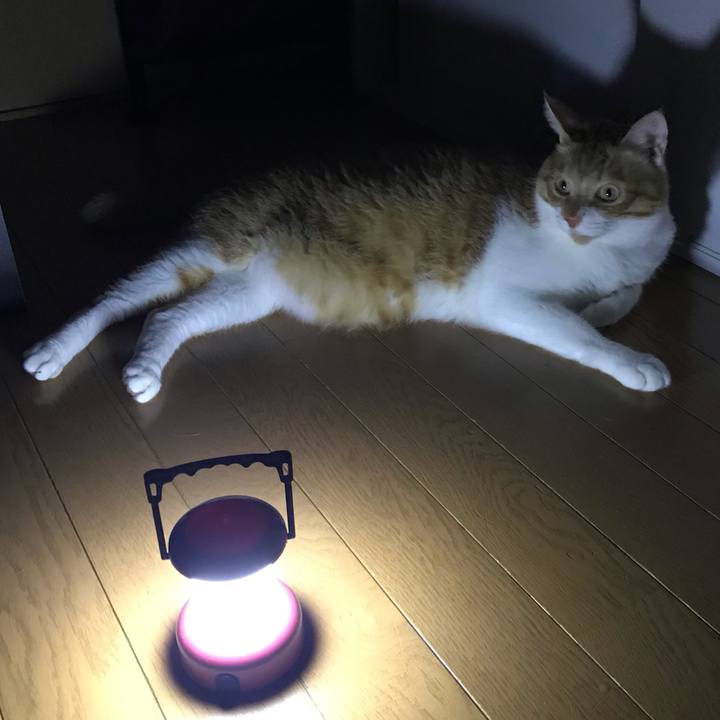 0b12e9cf bdb8 4f8c a7cd d6ca95918ea4 1568031717169