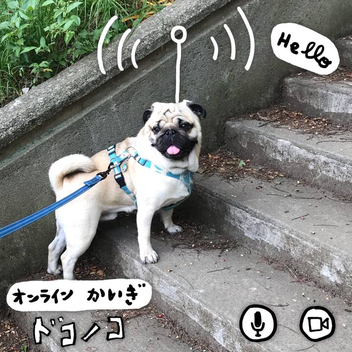 0b130d3d 48f4 4990 a76f 3c68867c0016 1590722082280