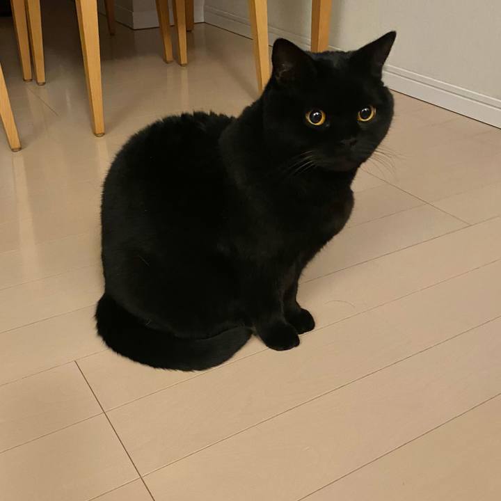 0b132bb1 d9b5 4d49 9db5 3c50266ae9c5 1677587787276