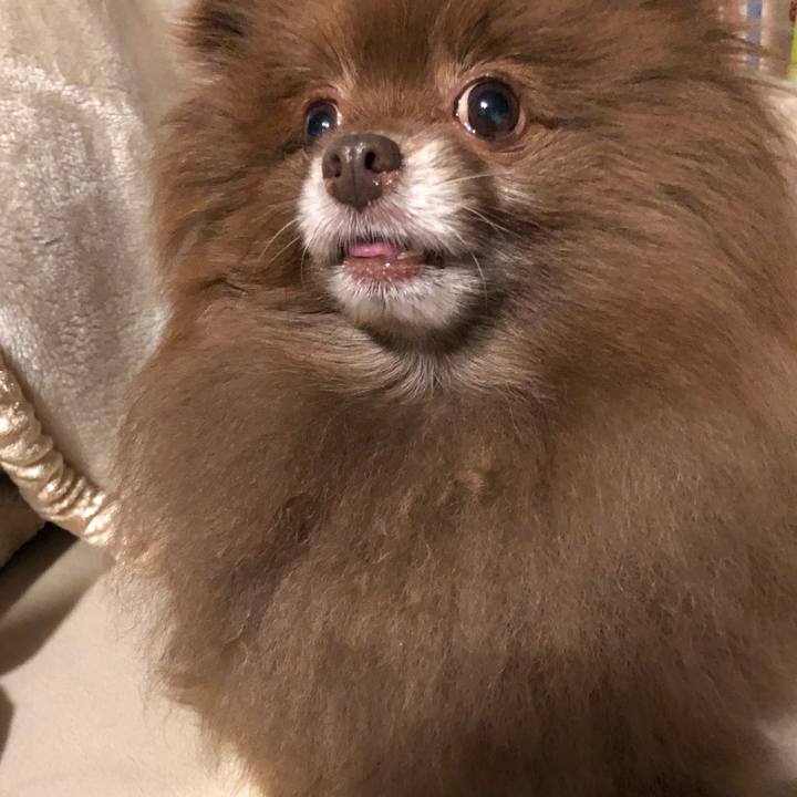 0b13688c 53a7 4bcd 8c51 1cce23c3c600 1553085486517