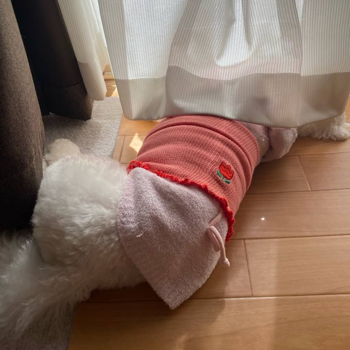 0b138d70 edd6 4bf0 9838 710e0fd07380 1771554785868