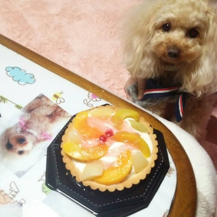 0b139b3d bf0d 49d8 8355 eb56fca37e48 1520074275181