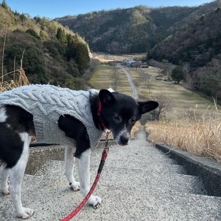 0b139e7c d0bc 4b30 bf7a 4d8ae5e825ea 1708947981454