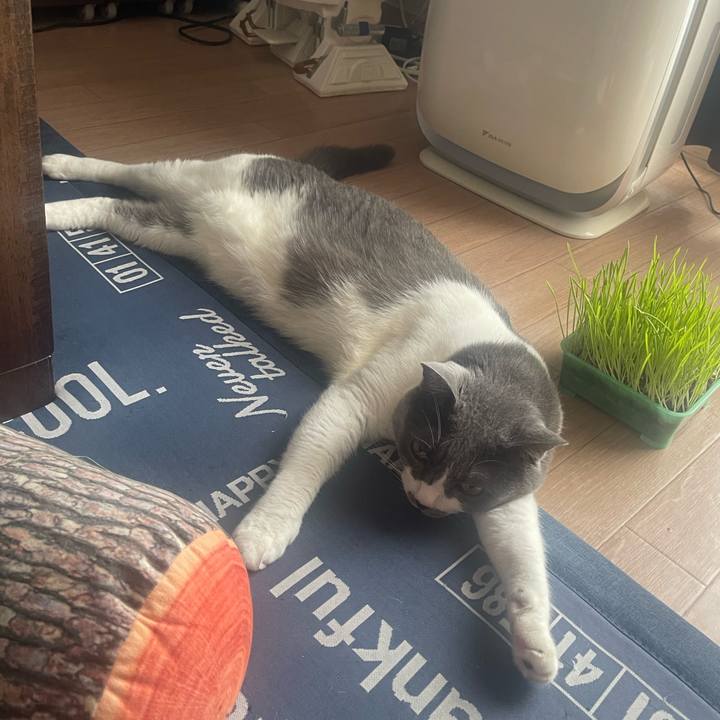 0b13a21c 64c7 492b 8d5d a3ad5bbf970e 1718850696735