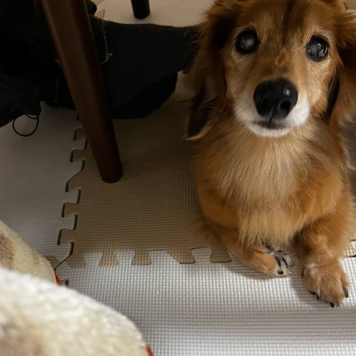 0b13a744 f280 4083 9c46 c1da54974118 1670249184178