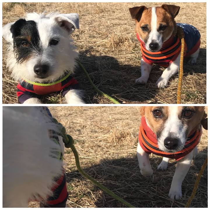 0b13b296 e4fe 42df 9308 aec9b6969e4b 1517793247295