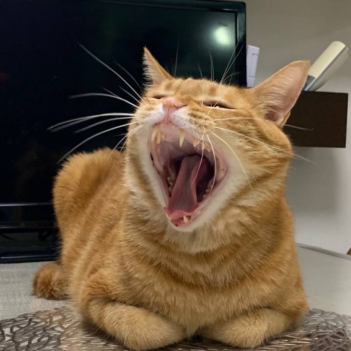 0b13c974 9615 4e52 8e78 3e8659ae6d81 1640822632424