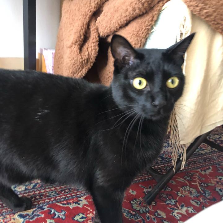 0b13d027 638e 4e60 b5e7 646533f62d69 1552093565332