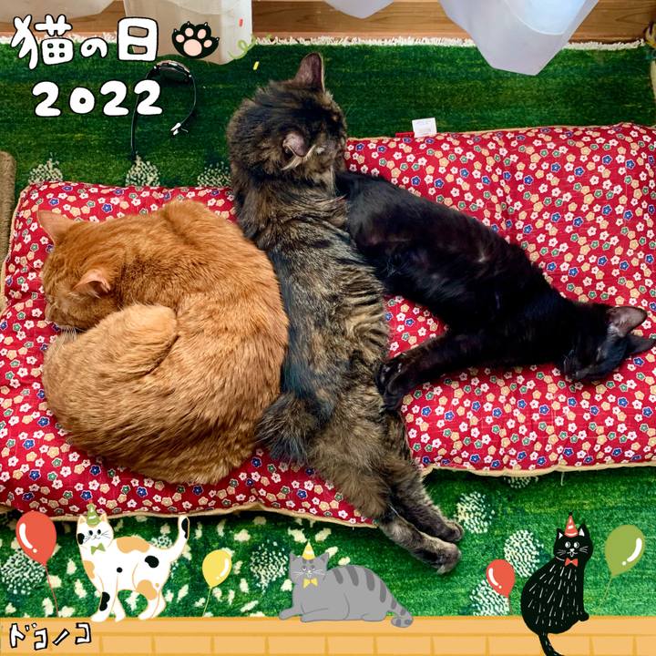 0b13e782 fb3b 4aeb bb4e 1ac07e42bc7e 1645490752238