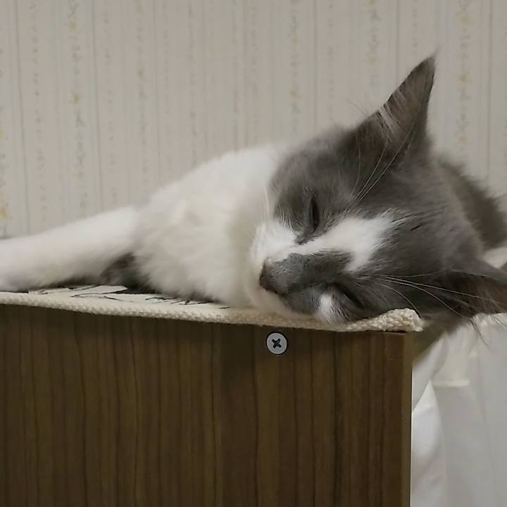 0b13fa15 255c 4251 8a35 66fc9f8891d9 1566254082626