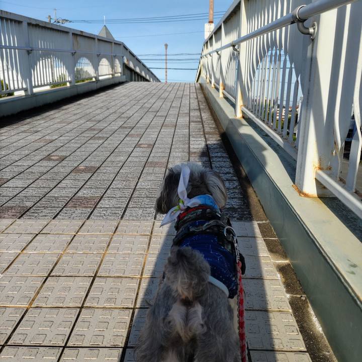 0b140b50 e5bc 47e0 98c8 c14fcf35a8e9 1721780746040