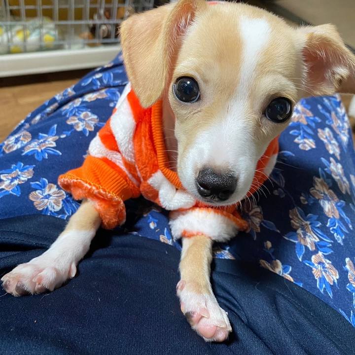 0b140c1f d28b 4b18 9d45 69932a1c3d7e 1663999872231