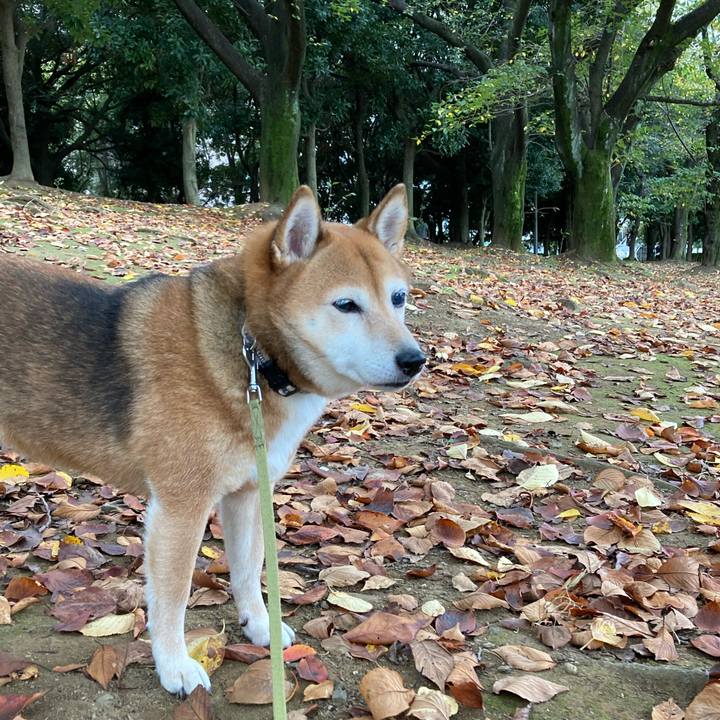 0b141f21 4be5 4a90 bc66 d78507f7e4b0 1634009952460