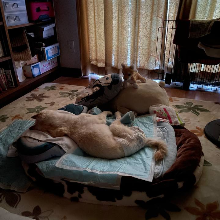 0b1425d4 106c 4244 83e1 3f4e34b0477b 1685908974396