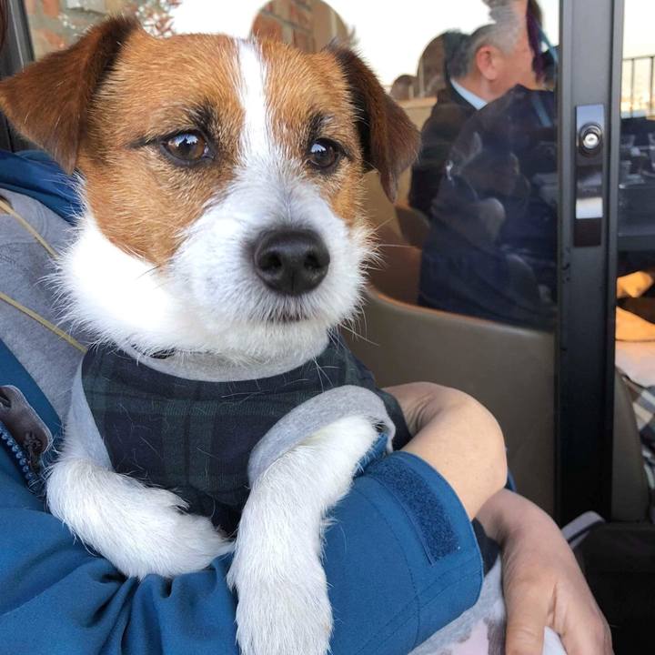 0b14321c 5a0b 42cf 823e e73d4f1d19b9 1521463022119