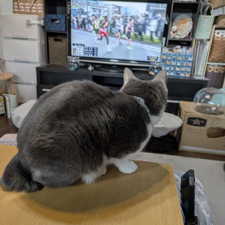 0b146162 6bca 4960 9488 ebe280b30a9c 1767314737290