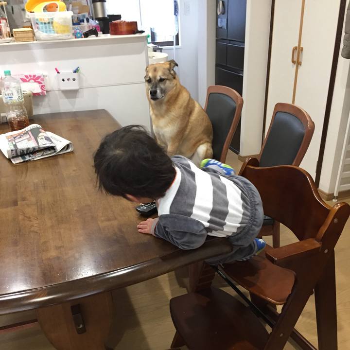 0b148c4a 0e53 403b 80f2 bec479ccc36d 1517613250720