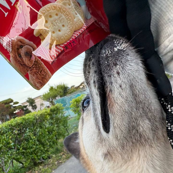 0b148e8b 6a09 44d9 ab3c 771229bb436c 1745499082525