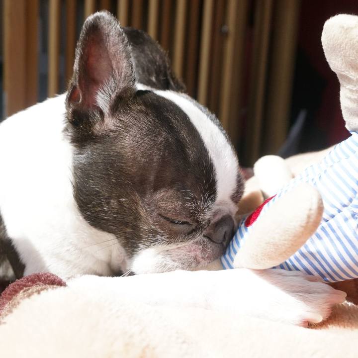 0b14a0c8 ad84 46e2 ae8b 56c3d68c1bc6 1520165935919