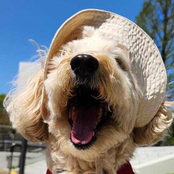 0b14cc05 6973 49da 9b52 b09b17d5520a 1775898913148