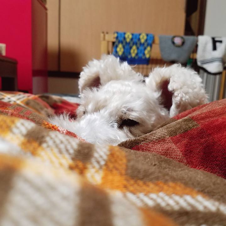 0b14f5b5 6a41 423d ae39 9e26dd417d4f 1549369032376