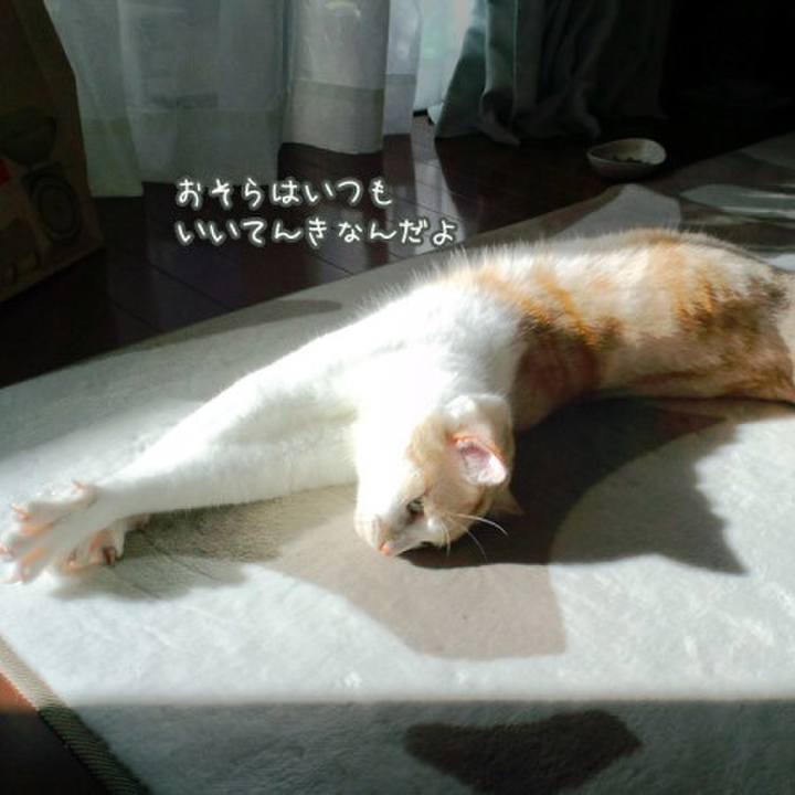 0b14fb42 303b 4546 a53f 41082c34df92 1565454622063