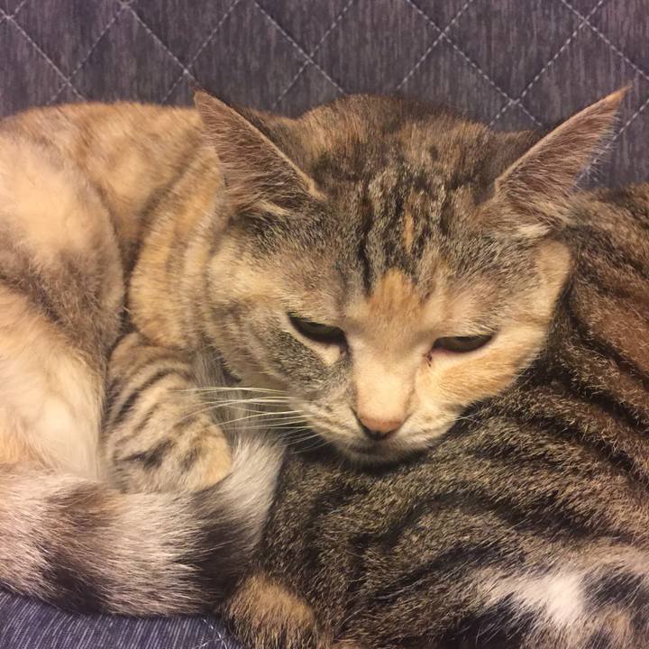 0b154c3e bf31 43a9 8612 f08e7736b704 1560253794806