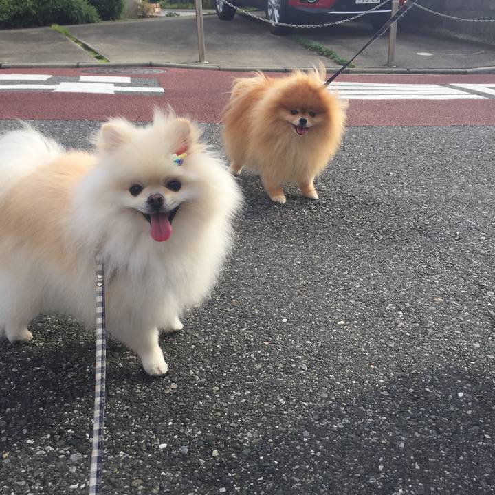 0b15bd3c 6765 428c a093 f86a50981e84 1569364302676