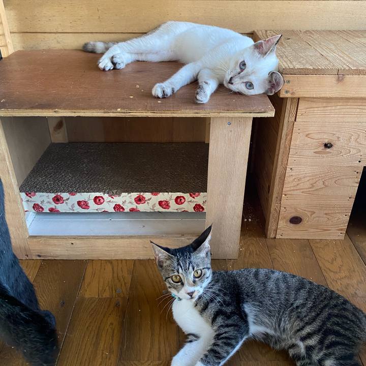 0b160685 bf20 4771 a7d6 8b6fce7e65f4 1630123944121