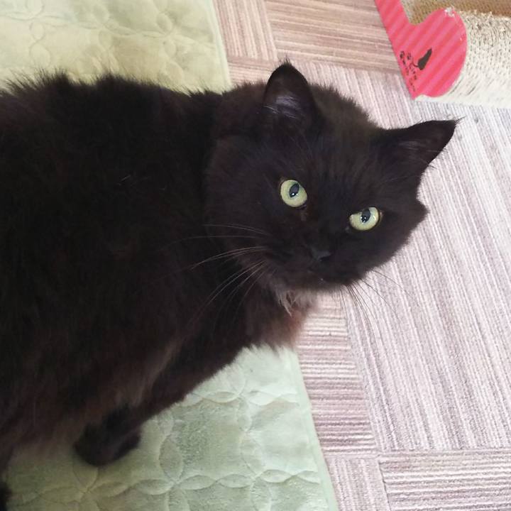 0b162e1d 2f27 41dc 9583 71e936cd01c9 1507937603450