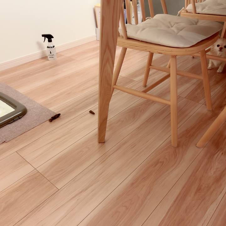 0b165257 5772 4835 8420 41038ce5be2d 1709301351589