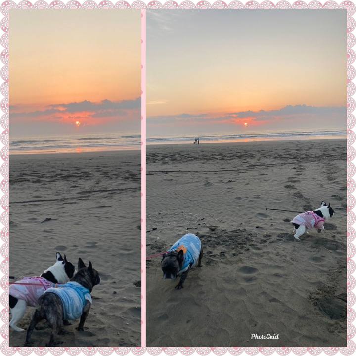 0b167a88 69db 480b 8654 1bb99e7e28cb 1699093130136