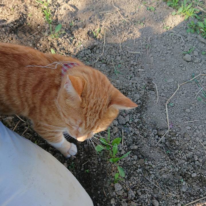 0b167d6a 276b 4d78 8d12 91c9d80fc3e9 1568536420835