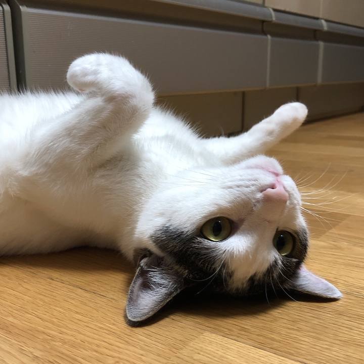 0b16c62c 4319 4ccd 878b a4419b60ed72 1628940745500