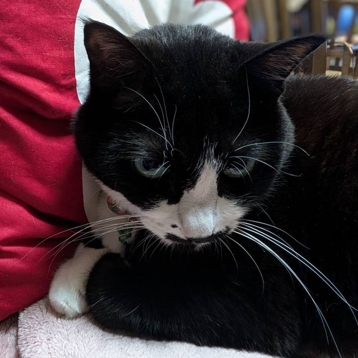 0b16eb32 87fc 4c9a bf1c 0ef1bbfac6a4 1766878063842